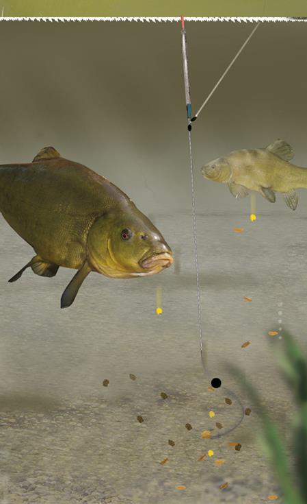 teste..idei..pareri..etc - tench3.jpg